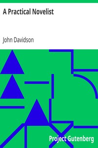 Cover of A Practical Novelist