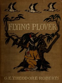 Cover of Flying Plover His stories, told him by Squat-by-the-fire