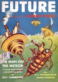 Cover of Forbidden flight