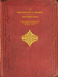 Cover of Foreign Butterflies