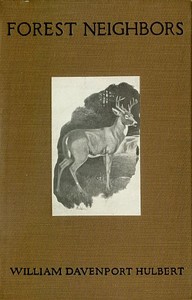 Cover of Forest Neighbors Life Stories of Wild Animals