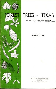 Cover of Forest Trees of Texas How to Know Them