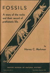 Cover of Fossils A Story of the Rocks and Their Record of Prehistoric Life