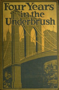 Cover of Four Years in the Underbrush Adventures as a Working Woman in New York