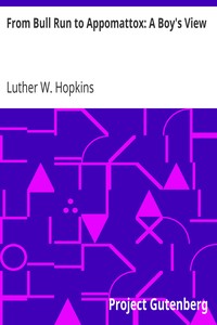 Cover of From Bull Run to Appomattox A Boy's View