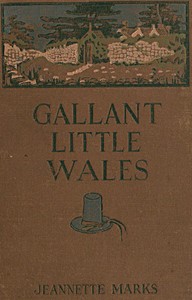 Cover of Gallant Little Wales Sketches of its people, places and customs