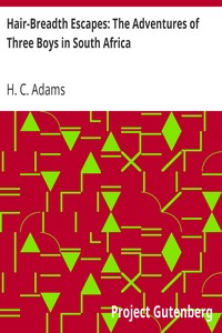 Cover of Hair-Breadth Escapes The Adventures of Three Boys in South Africa