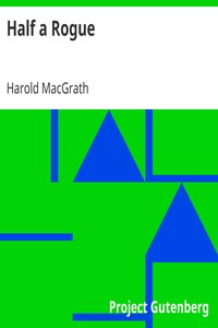 Cover of Half a Rogue