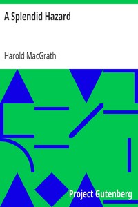 Cover of A Splendid Hazard