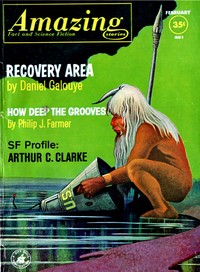 Cover of How deep the grooves