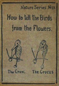 Cover of How to Tell the Birds from the Flowers A Manual of Flornithology for Beginners