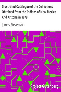 Cover of Illustrated Catalogue of the Collections Obtained from the Indians of New Mexico And Arizona in 1879