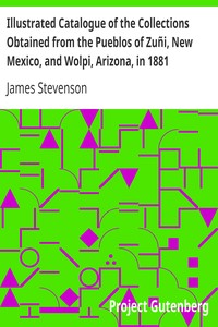 Cover of Illustrated Catalogue of the Collections Obtained from the Pueblos of Zuñi, New Mexico, and Wolpi, A
