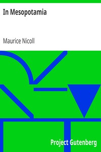Cover of In Mesopotamia