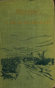Cover of In Sargasso. Missing, a romance