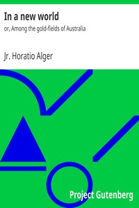 Cover of In a new world