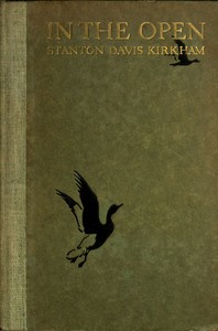 Cover of In the open