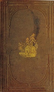 Cover of Incidents on land and water