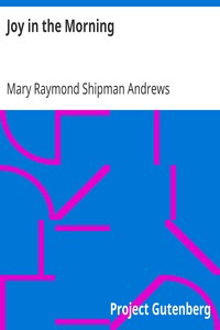 Cover of Joy in the Morning