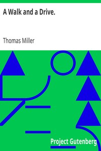 Cover of A Walk and a Drive
