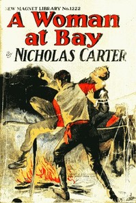 Cover of A Woman at Bay; Or, A Fiend in Skirts