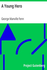 Cover of A Young Hero