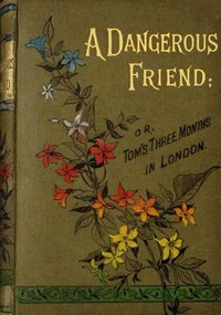 Cover of A dangerous friend