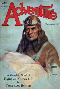 Cover of A notched gun