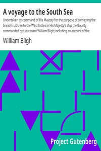 Cover of A voyage to the South Sea