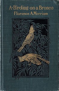 Cover of A-Birding on a Bronco