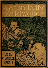 Cover of Aaron in the Wildwoods
