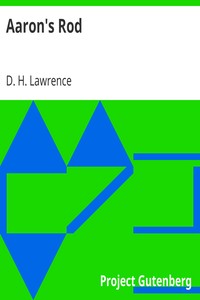 Cover of Aaron's Rod