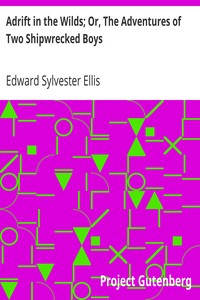 Cover of Adrift in the Wilds; Or, The Adventures of Two Shipwrecked Boys