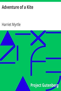 Cover of Adventure of a Kite