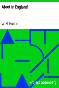 Cover of Afoot in England