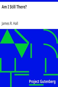 Cover of Am I Still There
