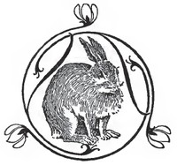 Cover of Among the Forest People