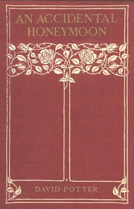 Cover of An Accidental Honeymoon