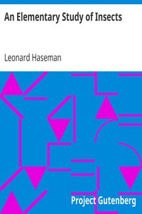 Cover of An Elementary Study of Insects
