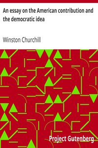 Cover of An essay on the American contribution and the democratic idea