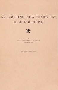 Cover of An exciting New Year's day in Jungletown