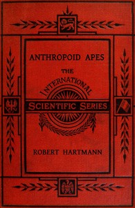 Cover of Anthropoid apes