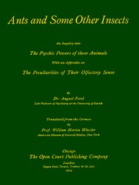 Cover of Ants and Some Other Insects An Inquiry Into the Psychic Powers of These Animals