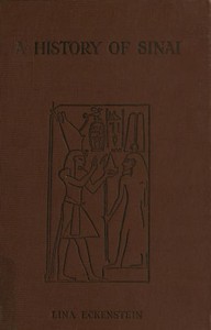 Cover of A History of Sinai