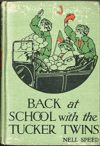 Cover of Back at School with the Tucker Twins