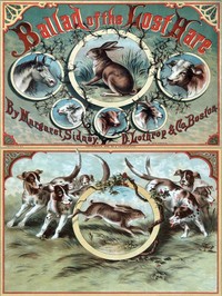 Cover of Ballad of the Lost Hare