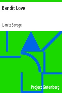 Cover of Bandit Love