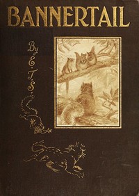 Cover of Bannertail The Story of a Graysquirrel