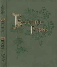 Cover of Beautiful Ferns