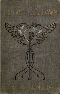 Cover of Before the Dawn A Story of the Fall of Richmond
